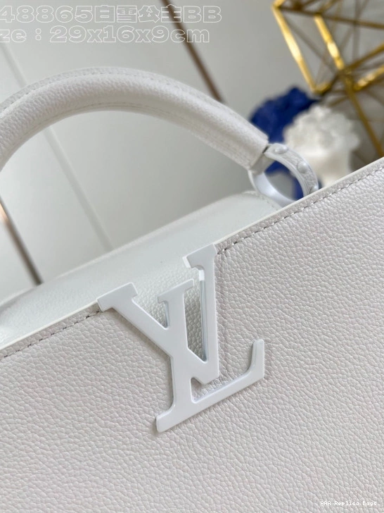 Aaa replica bags BB-29*16.5*9CM LOUIS VUITTON CAPUCINES 0816